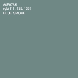#6F8785 - Blue Smoke Color Image